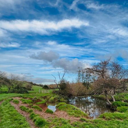 Dapps Hill Haven - Between Bristol And Bath, Both 9 Mins By Train! Keynsham Bagian luar foto