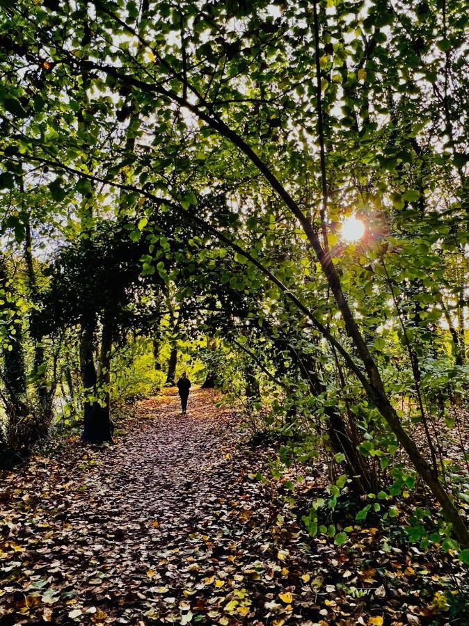 Dapps Hill Haven - Between Bristol And Bath, Both 9 Mins By Train! Keynsham Bagian luar foto