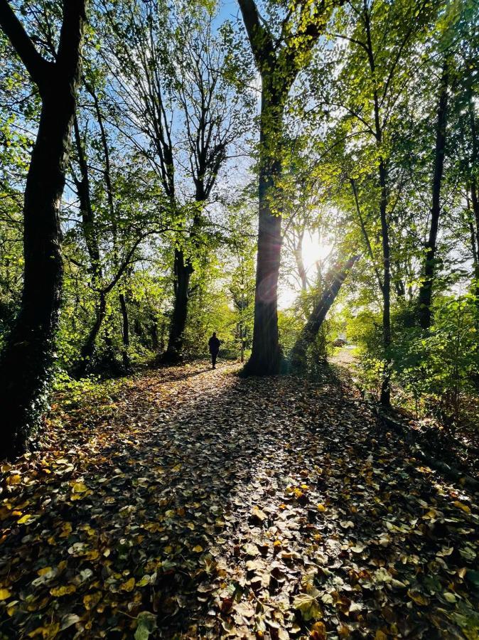 Dapps Hill Haven - Between Bristol And Bath, Both 9 Mins By Train! Keynsham Bagian luar foto