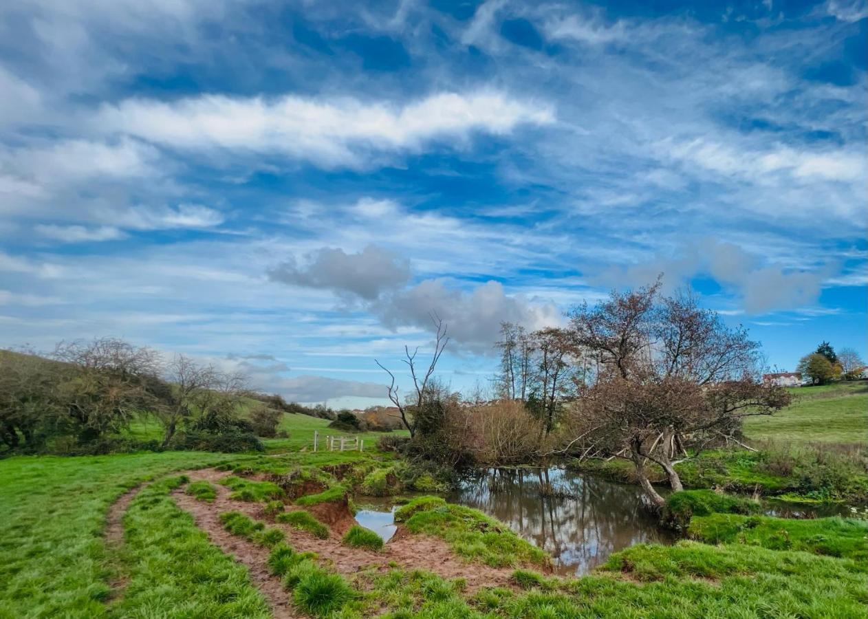 Dapps Hill Haven - Between Bristol And Bath, Both 9 Mins By Train! Keynsham Bagian luar foto