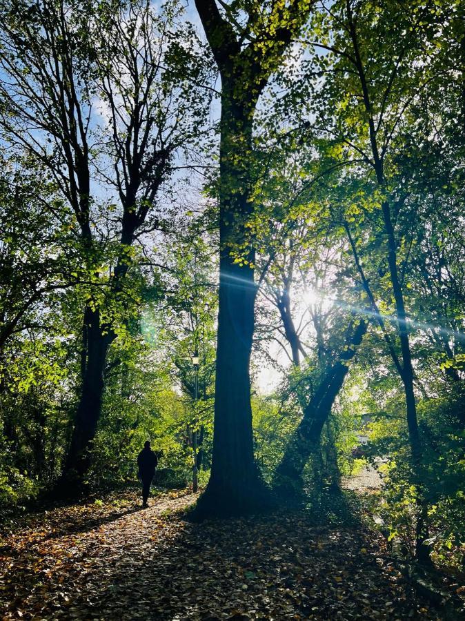 Dapps Hill Haven - Between Bristol And Bath, Both 9 Mins By Train! Keynsham Bagian luar foto